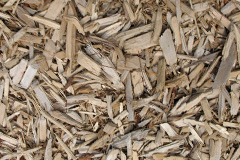 biomass boilers Badnaban